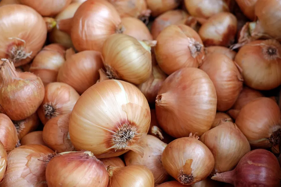 How Long Onions Last & How to Store Them Properly