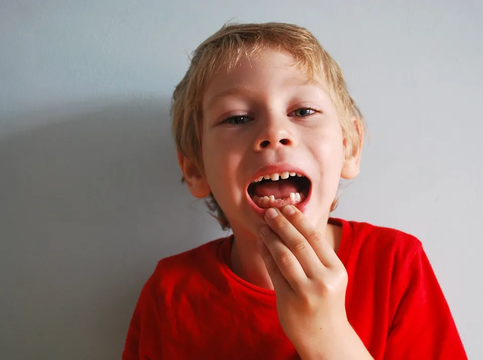 Baby Teeth vs. Adult Teeth - What's the Difference?