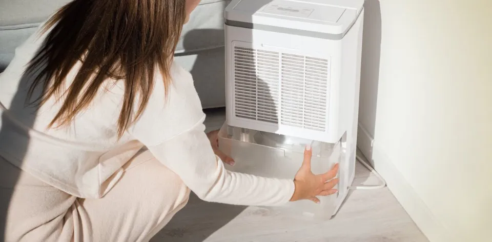Can You Drink The Water From A Dehumidifier - From Moisture to Drinkable