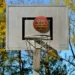 Does Playing Basketball Make You Taller - Rising Above the Rim